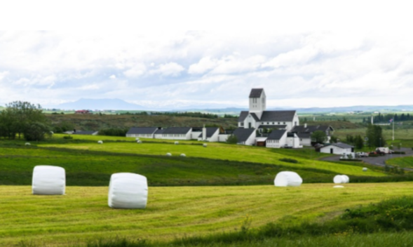 Island exkursion conv 2